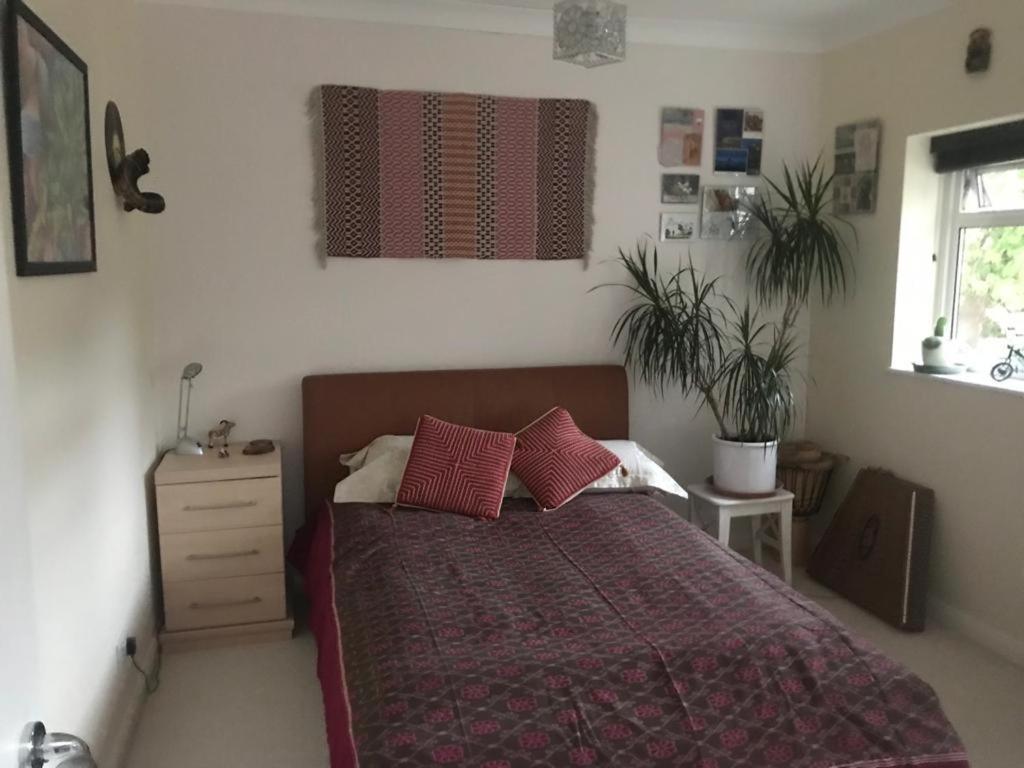 Serene Spacious Room Staines-upon-Thames Екстериор снимка