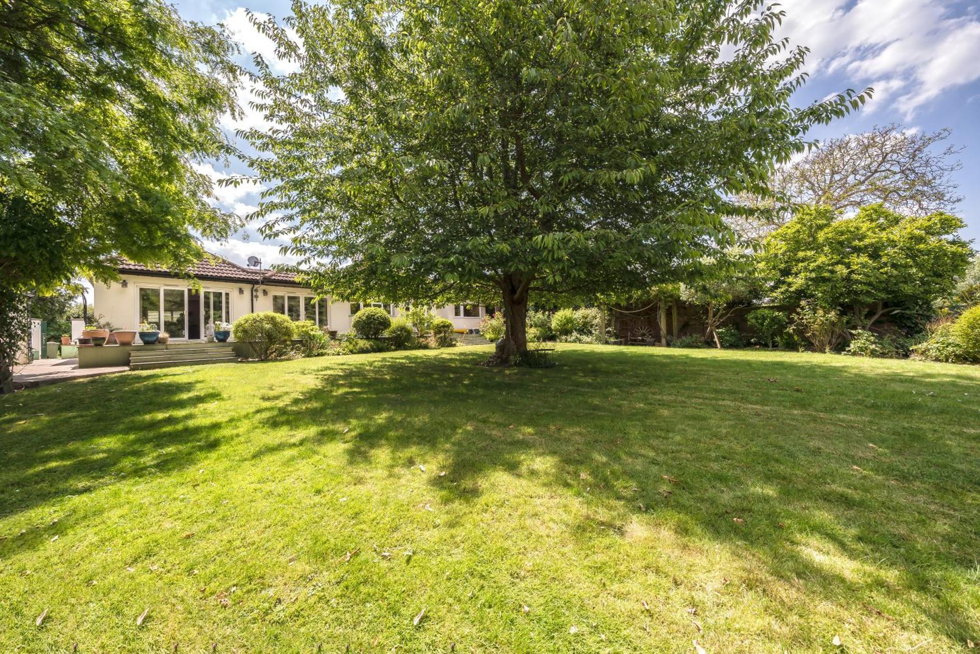 Serene Spacious Room Staines-upon-Thames Екстериор снимка